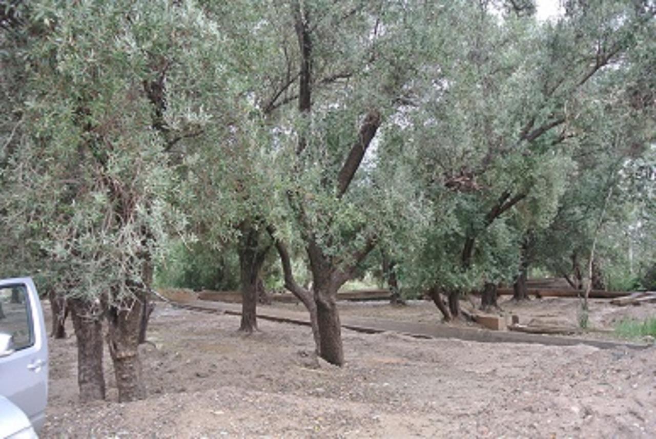 Riad Anma تارودانت‎ المظهر الخارجي الصورة